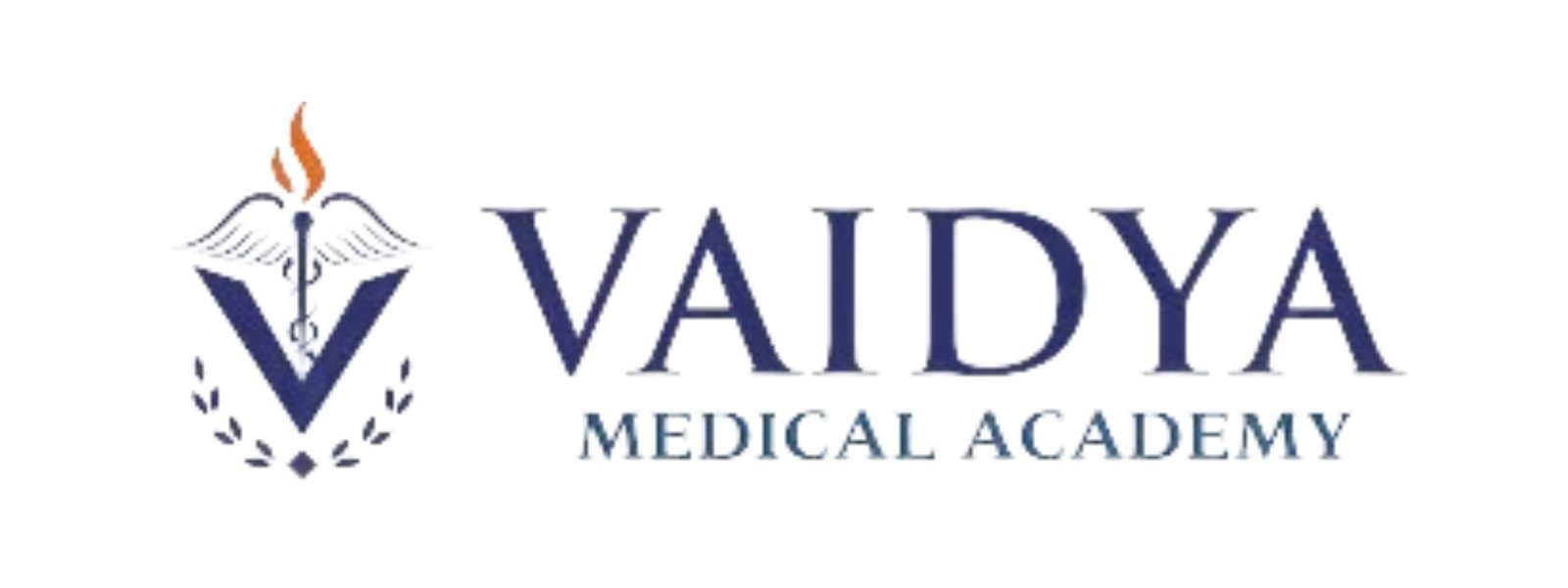 ay labs best software solution